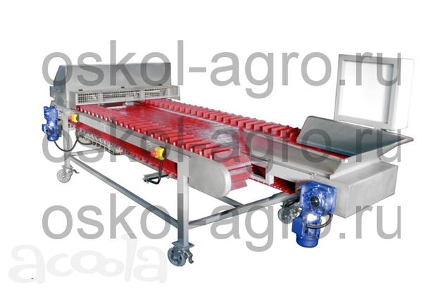 Инспекционный стол для овощей ИС-4300