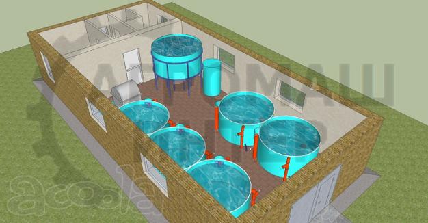 Рыбная ферма на 2 тонны